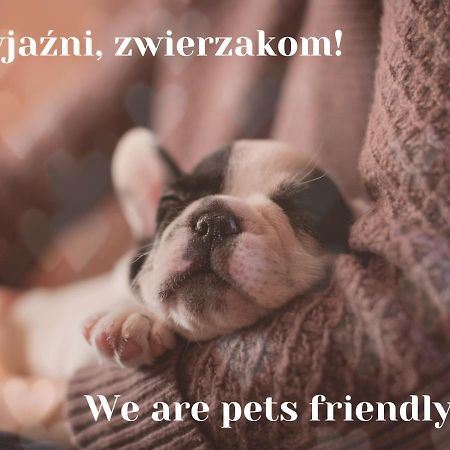 Willa Jordanowka Czorsztyn Ngoại thất bức ảnh